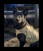 CT TAG fundraiser for K-9 Broko